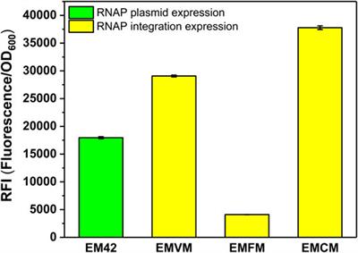 Construction of T7-Like Expression System in Pseudomonas putida KT2440 to Enhance the Heterologous Expression Level